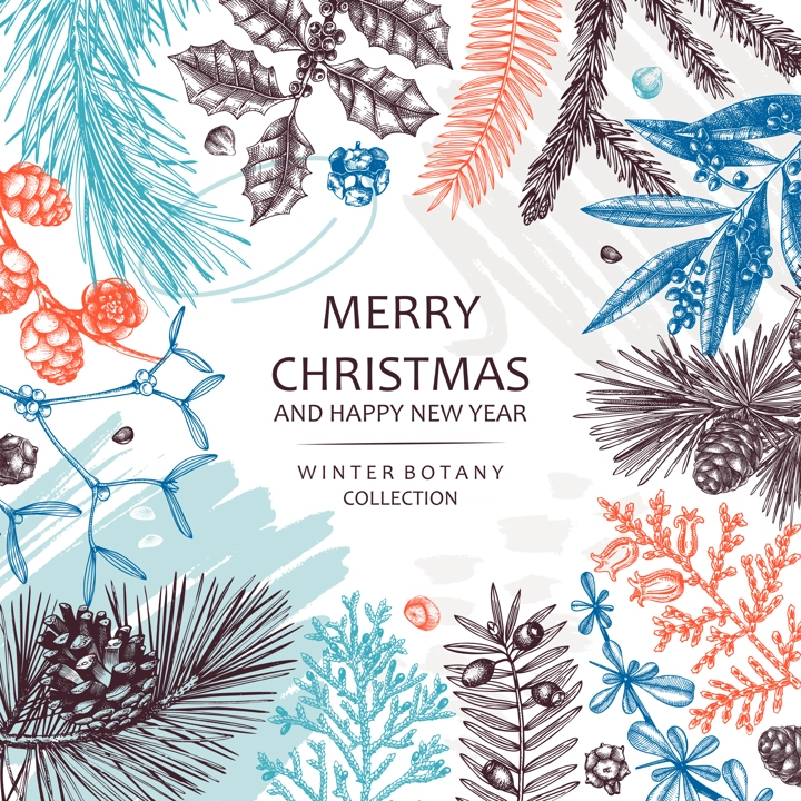Merry Christmas card. Collage-style banner with evergreen plants, conifers, and nuts drawing. Winter design with hand-drawn botanical illustrations. Trendy Christmas background, New Year card template